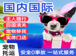 南昌昌北机场空运国际宠物托运 【国
